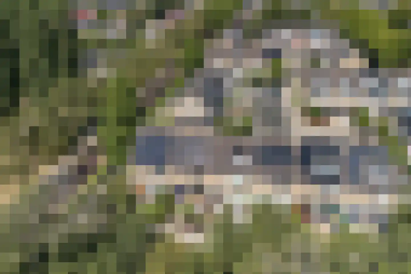 Klaproos 42 Barendrecht thumbnail 35