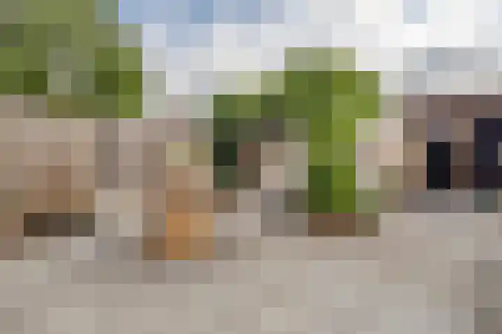 Klaproos 47 Gorinchem thumbnail 17