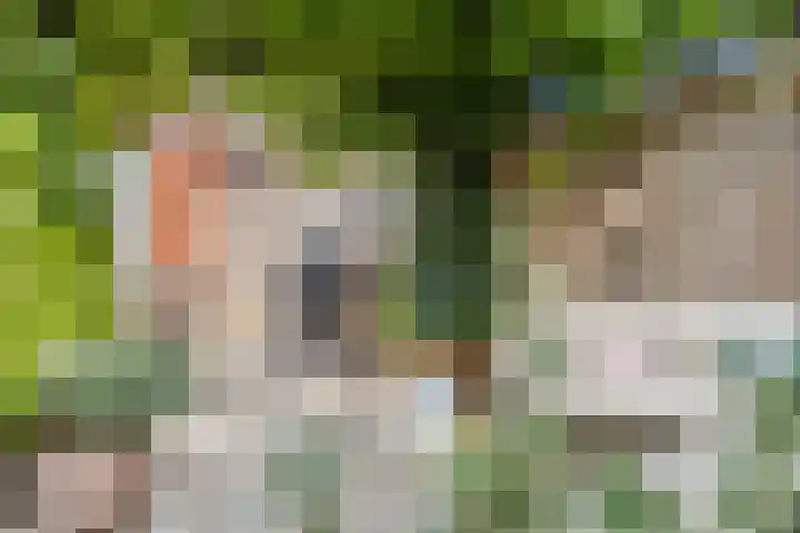 Klaproos 47 Gorinchem thumbnail 18