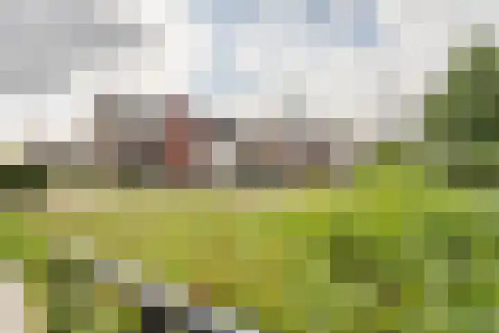 Klaproos 47 Gorinchem thumbnail 38