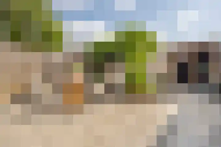 Klaproos 47 Gorinchem thumbnail 4