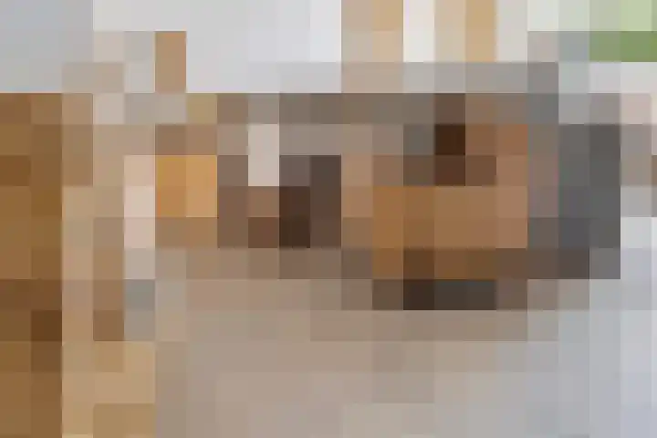 Klaproos 47 Gorinchem thumbnail 6
