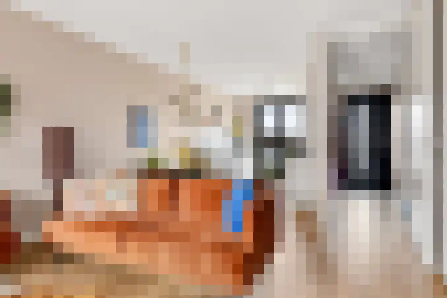 Klaproos 48 Lelystad thumbnail 15