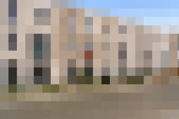 Klaproos 48 Lelystad thumbnail 51