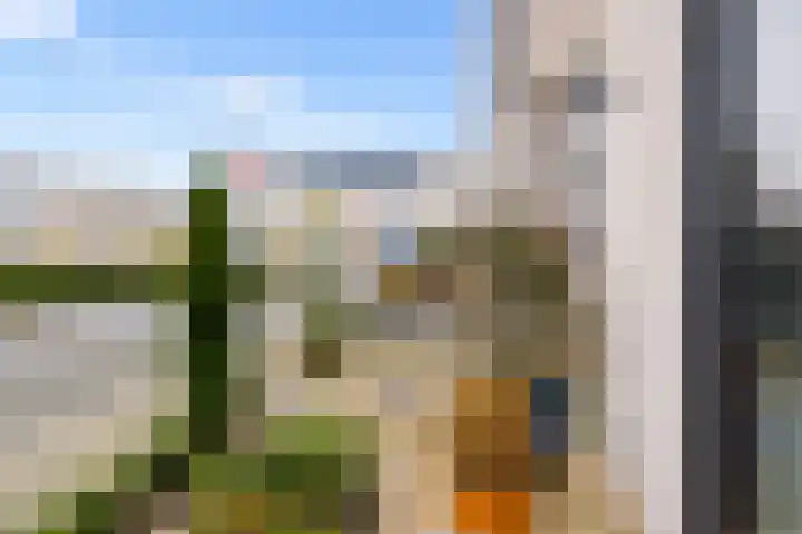 Klaproos 48 Lelystad thumbnail 57