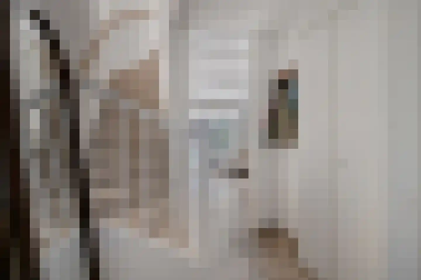 Klaproos 5 Dongen thumbnail 11