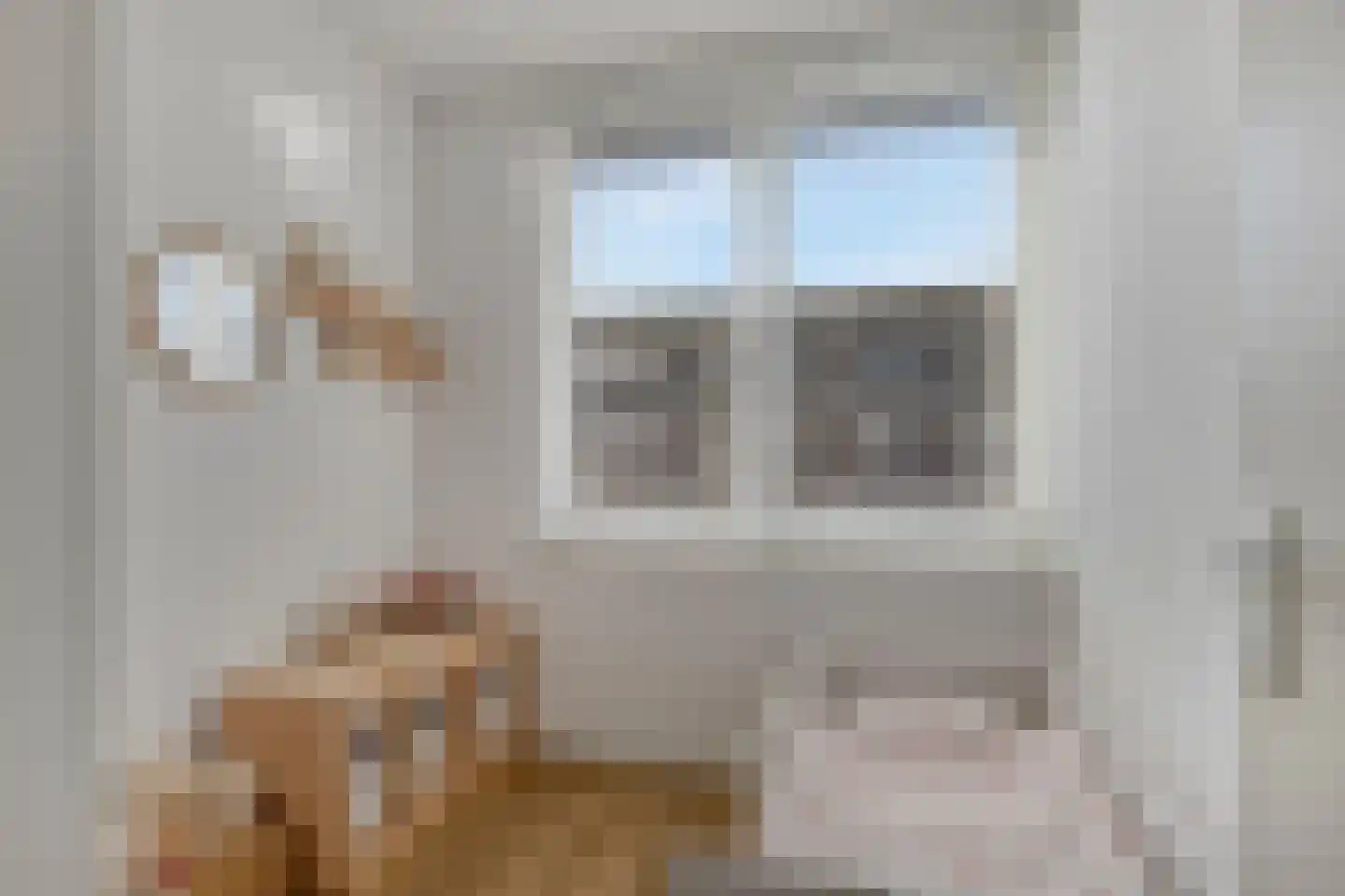 Klaproos 5 Dongen thumbnail 22