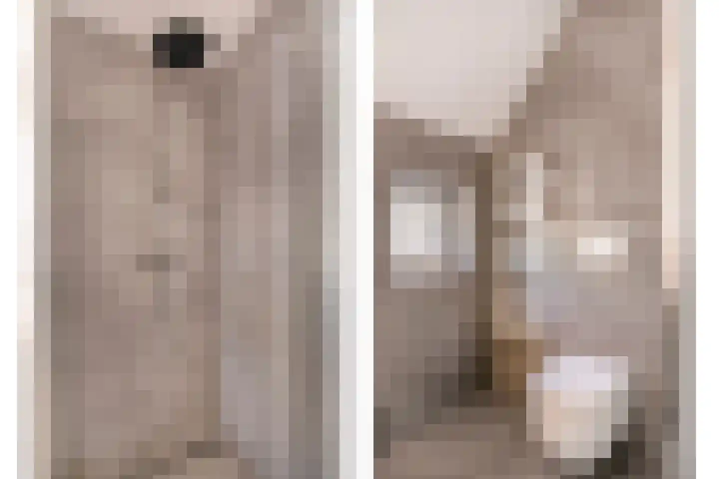 Klaproos 5 Dongen thumbnail 25