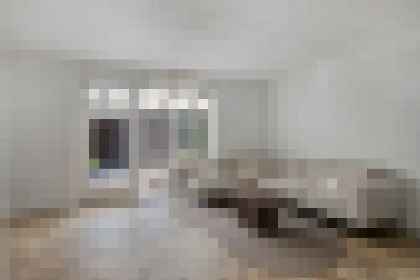 Klaproos 5 Dongen foto 3