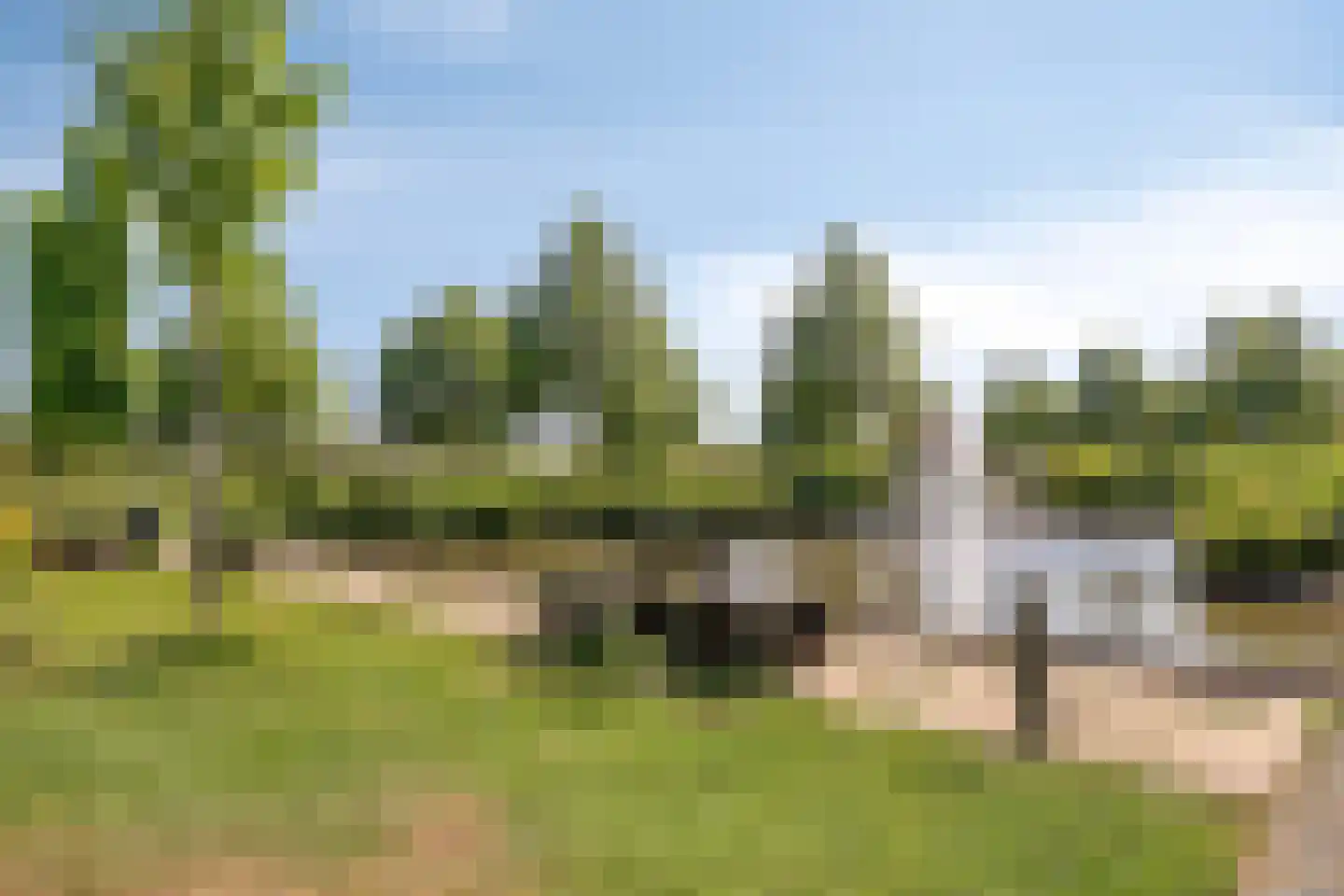 Klaproos 5 Dongen thumbnail 35
