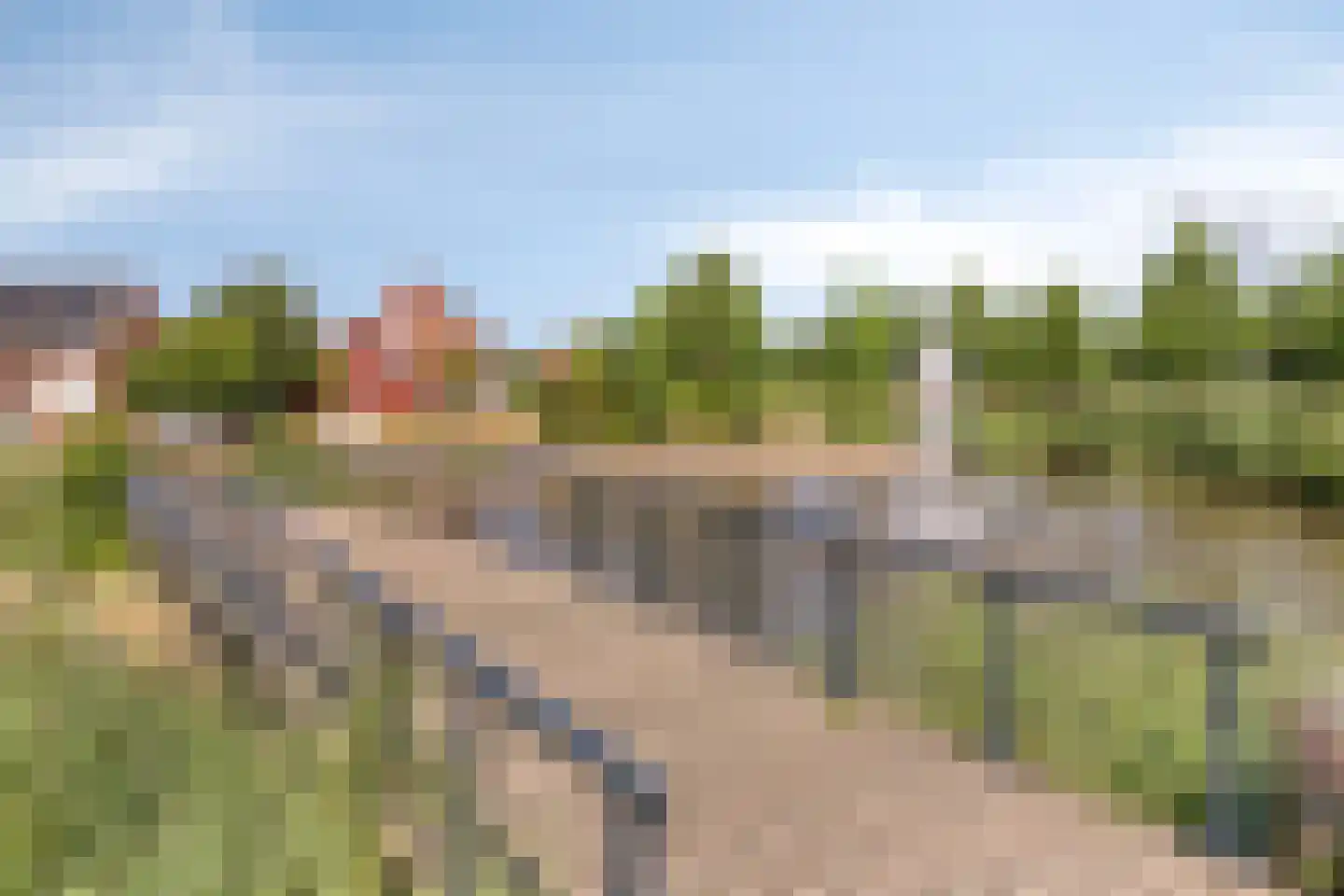 Klaproos 5 Dongen thumbnail 36
