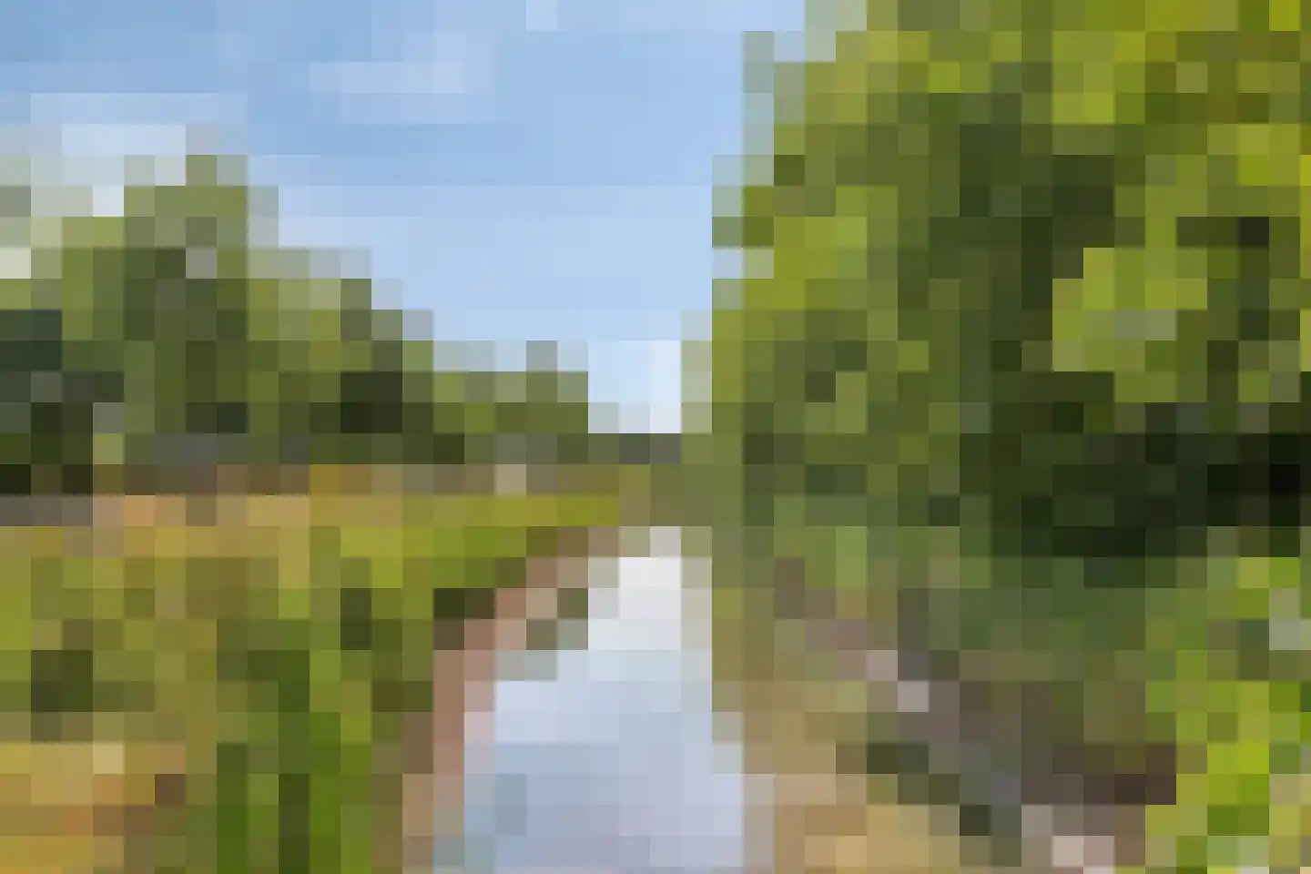 Klaproos 5 Dongen thumbnail 37