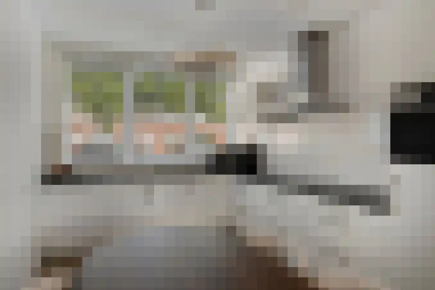 Klaproos 5 Dongen thumbnail 4