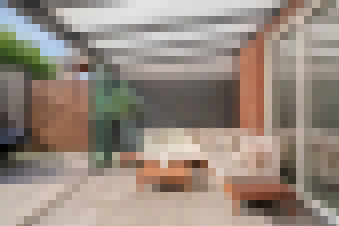 Klaproos 5 Dongen thumbnail 7