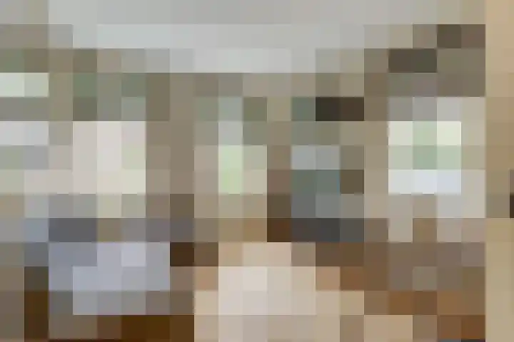 Klaproos 5 Harbrinkhoek thumbnail 12