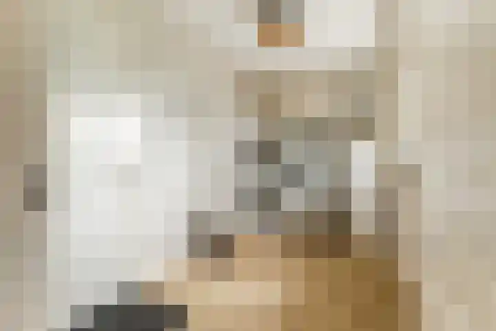 Klaproos 5 Harbrinkhoek thumbnail 14