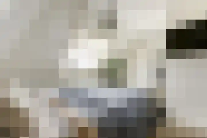 Klaproos 5 Harbrinkhoek thumbnail 16