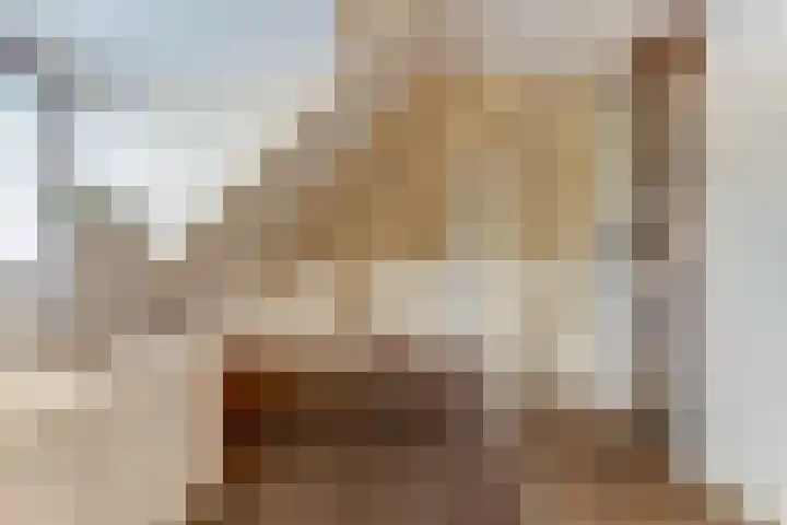Klaproos 5 Harbrinkhoek thumbnail 18