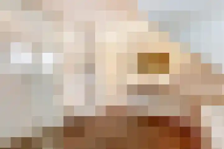 Klaproos 5 Harbrinkhoek thumbnail 20