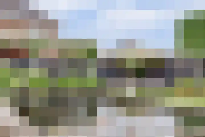 Klaproos 5 Harbrinkhoek thumbnail 22