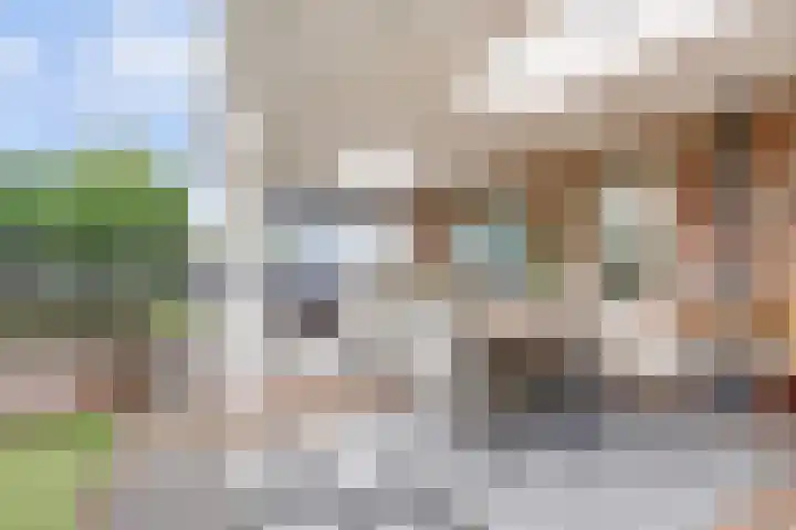 Klaproos 5 Harbrinkhoek thumbnail 23