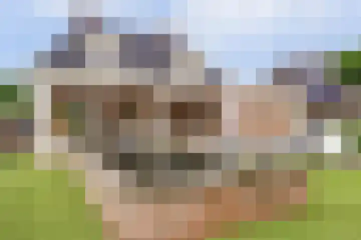 Klaproos 5 Harbrinkhoek thumbnail 24