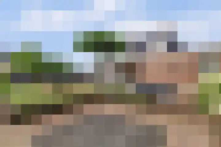 Klaproos 5 Harbrinkhoek thumbnail 25