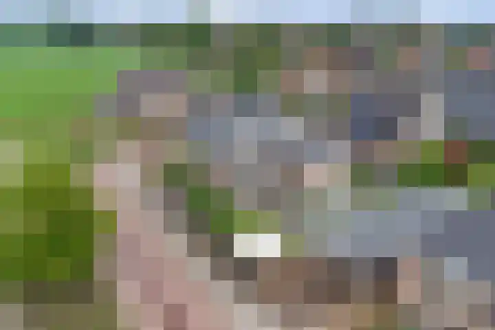 Klaproos 5 Harbrinkhoek thumbnail 27