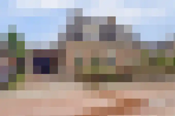 Klaproos 5 Harbrinkhoek thumbnail 28