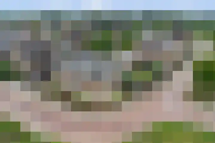 Klaproos 5 Harbrinkhoek thumbnail 29