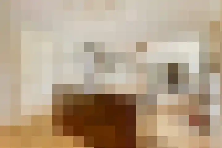 Klaproos 5 Harbrinkhoek thumbnail 8
