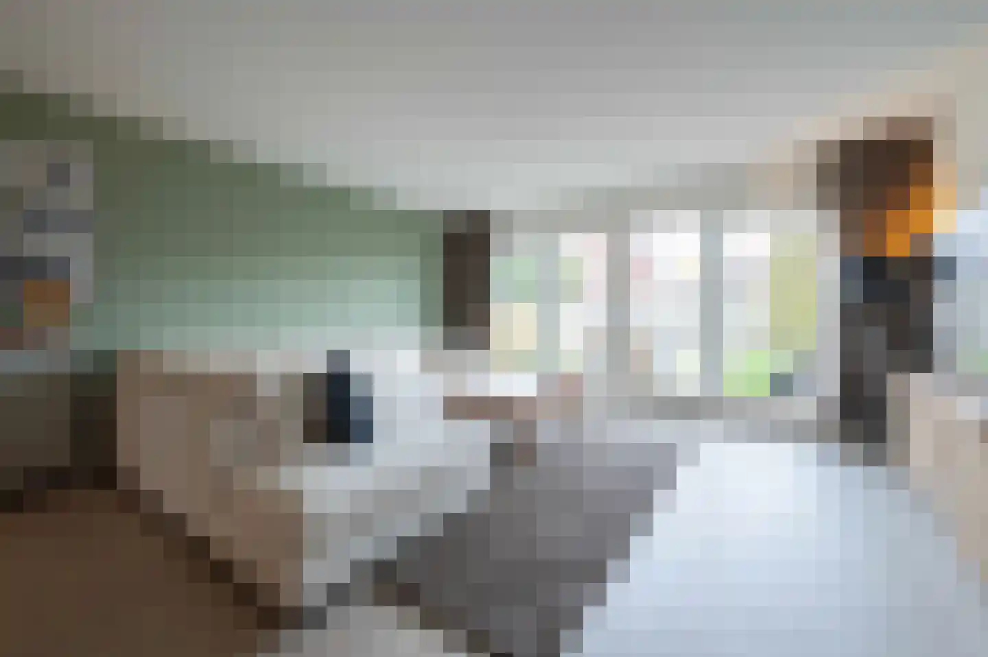 Klaproos 5 Hoeven thumbnail 11