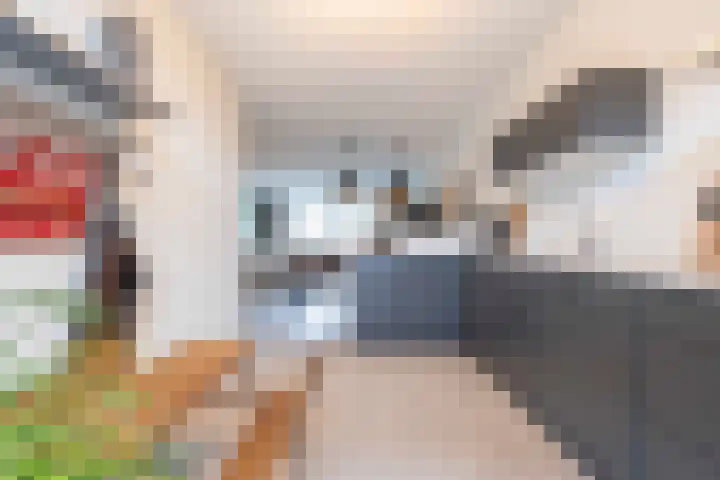 Klaproos 5 Hoeven thumbnail 18