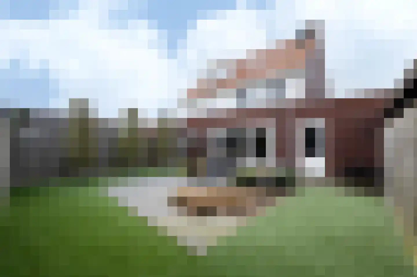 Klaproos 5 Hoeven thumbnail 20