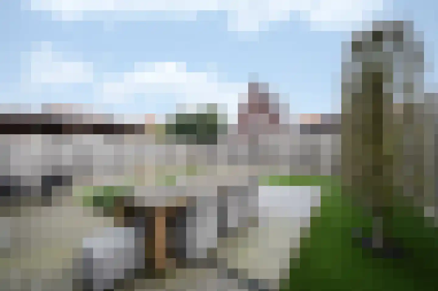 Klaproos 5 Hoeven thumbnail 21