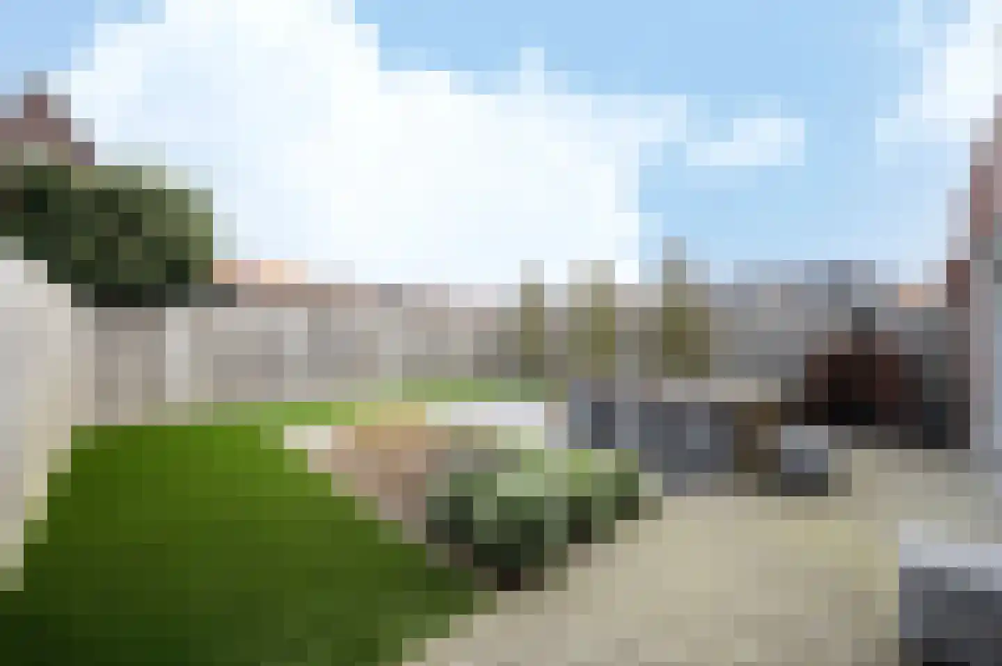 Klaproos 5 Hoeven thumbnail 23