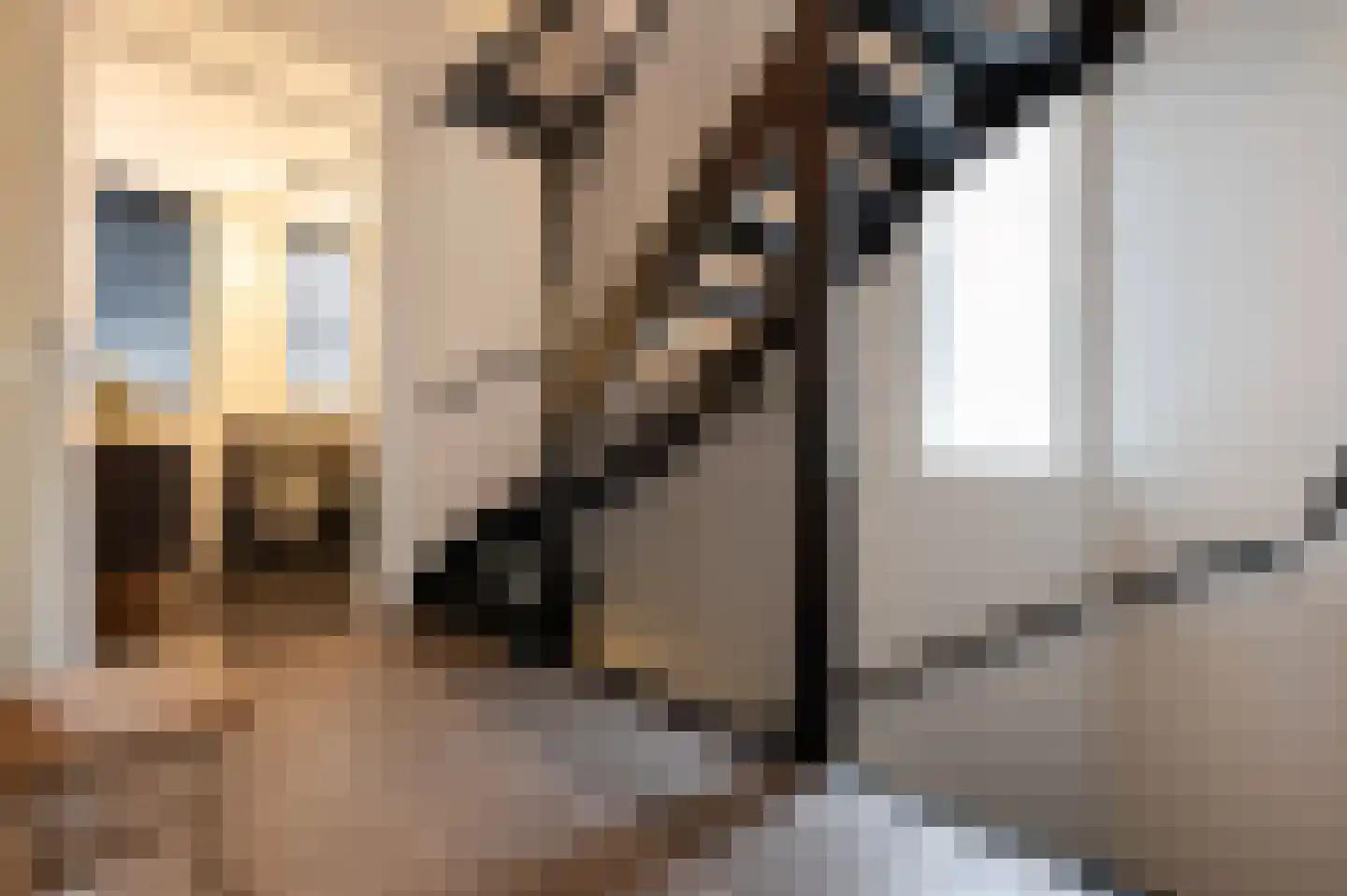 Klaproos 5 Hoeven thumbnail 24