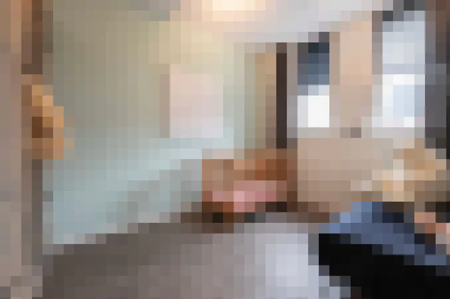 Klaproos 5 Hoeven thumbnail 32