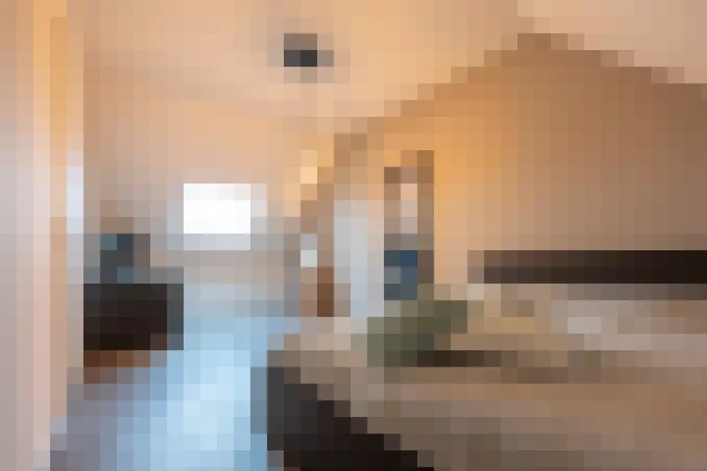 Klaproos 5 Hoeven thumbnail 39