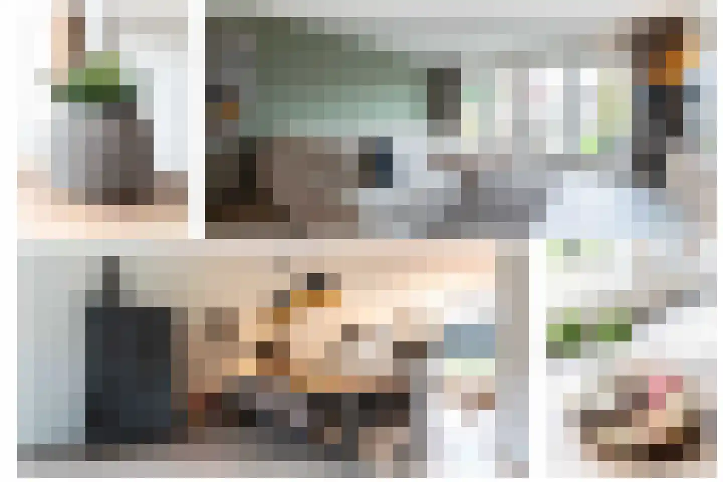 Klaproos 5 Hoeven thumbnail 9