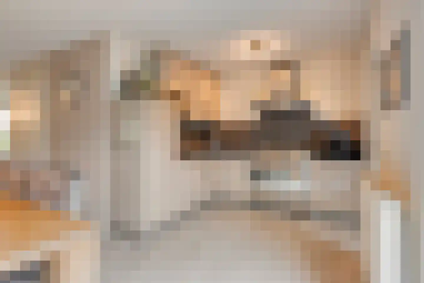 Klaproos 5 Kapelle thumbnail 17