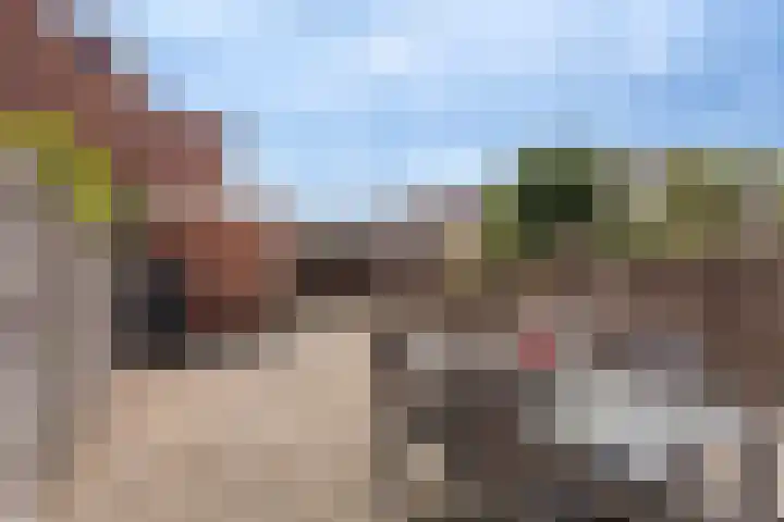 Klaproos 5 Oude Wetering thumbnail 12