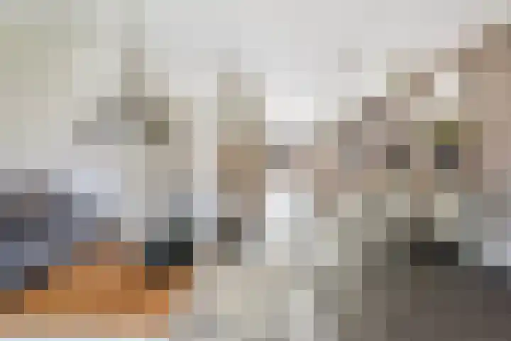 Klaproos 5 Oude Wetering thumbnail 7