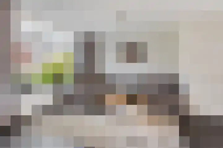 Klaproos 5 Oude Wetering thumbnail 8
