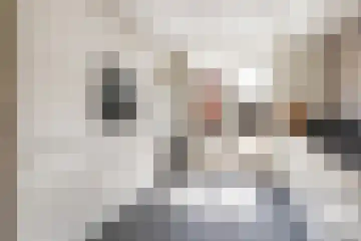 Klaproos 5 Oude Wetering thumbnail 9
