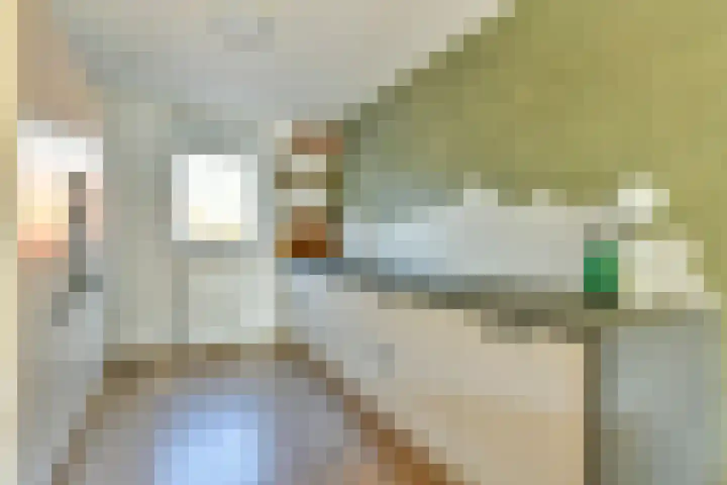 Klaproos 5 Ouderkerk aan de Amstel thumbnail 11
