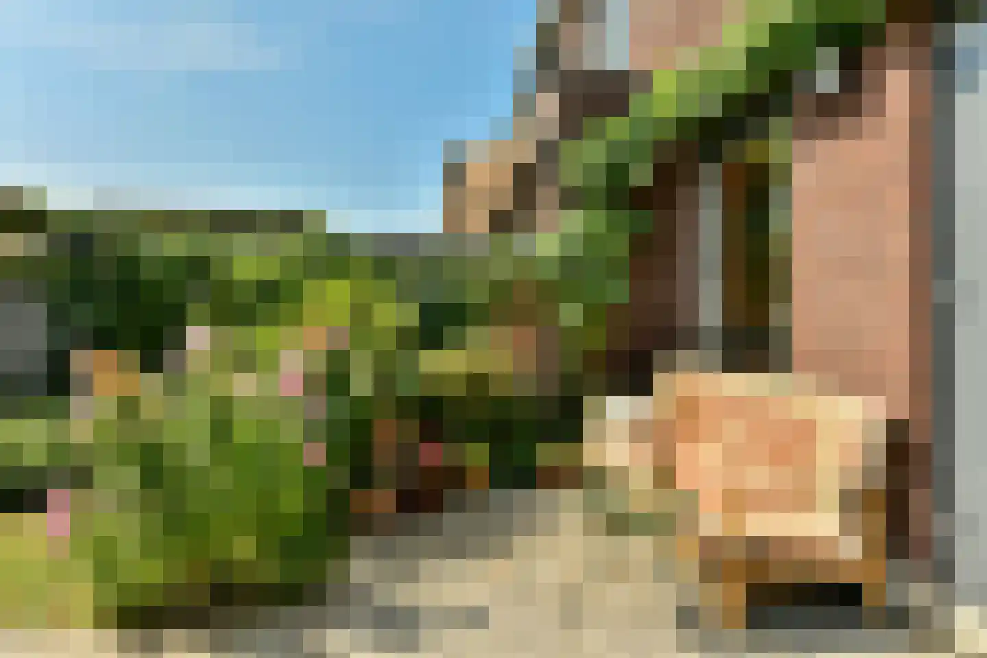 Klaproos 5 Ouderkerk aan de Amstel thumbnail 17