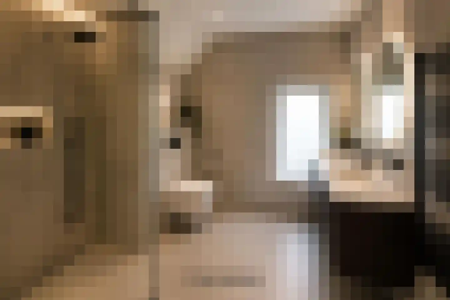 Klaproos 50 Udenhout thumbnail 20