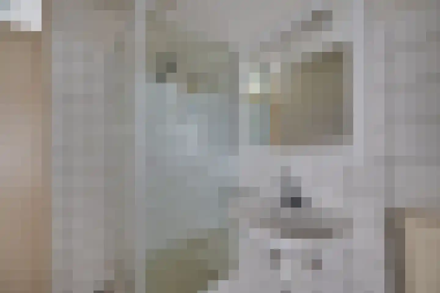 Klaproos 50 Udenhout thumbnail 21