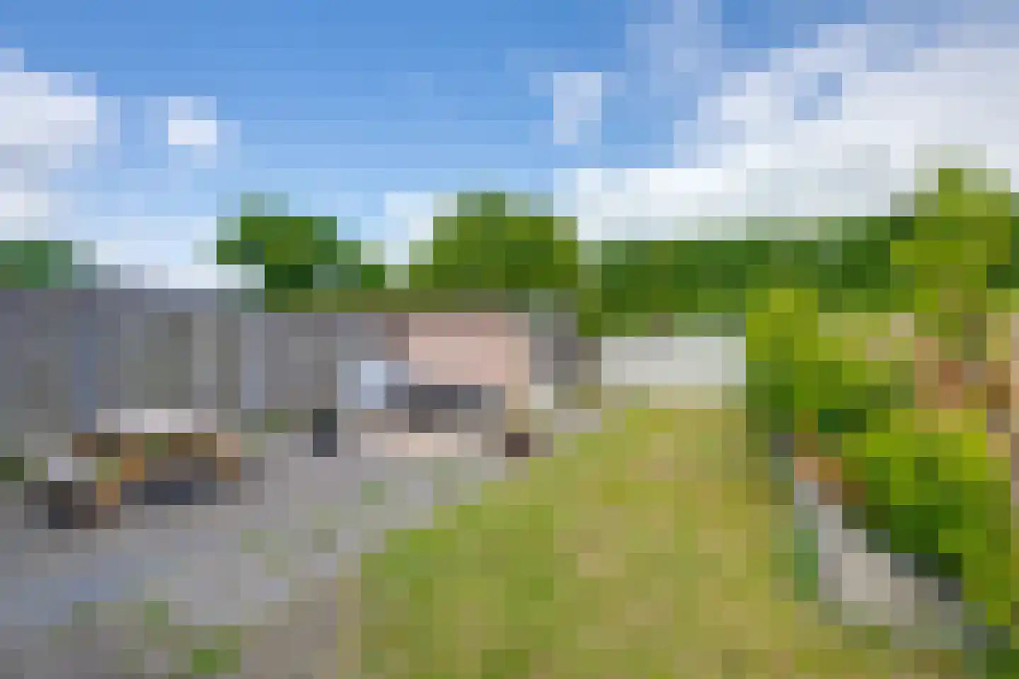 Klaproos 50 Udenhout thumbnail 27